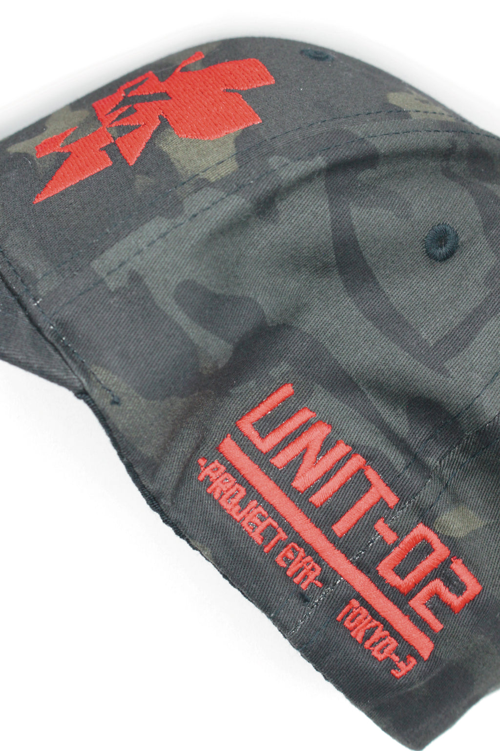 UNIT 02 CAP