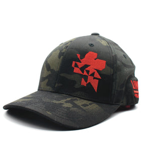 UNIT 02 CAP
